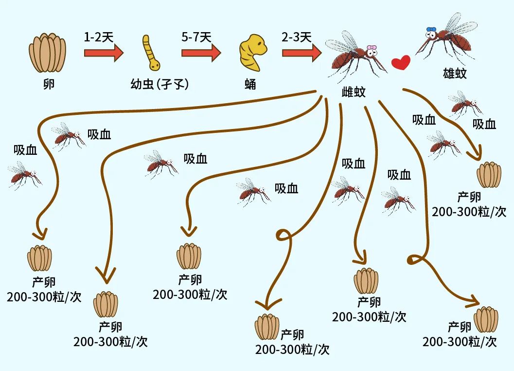 庭院驱蚊，试试这样做(图4)